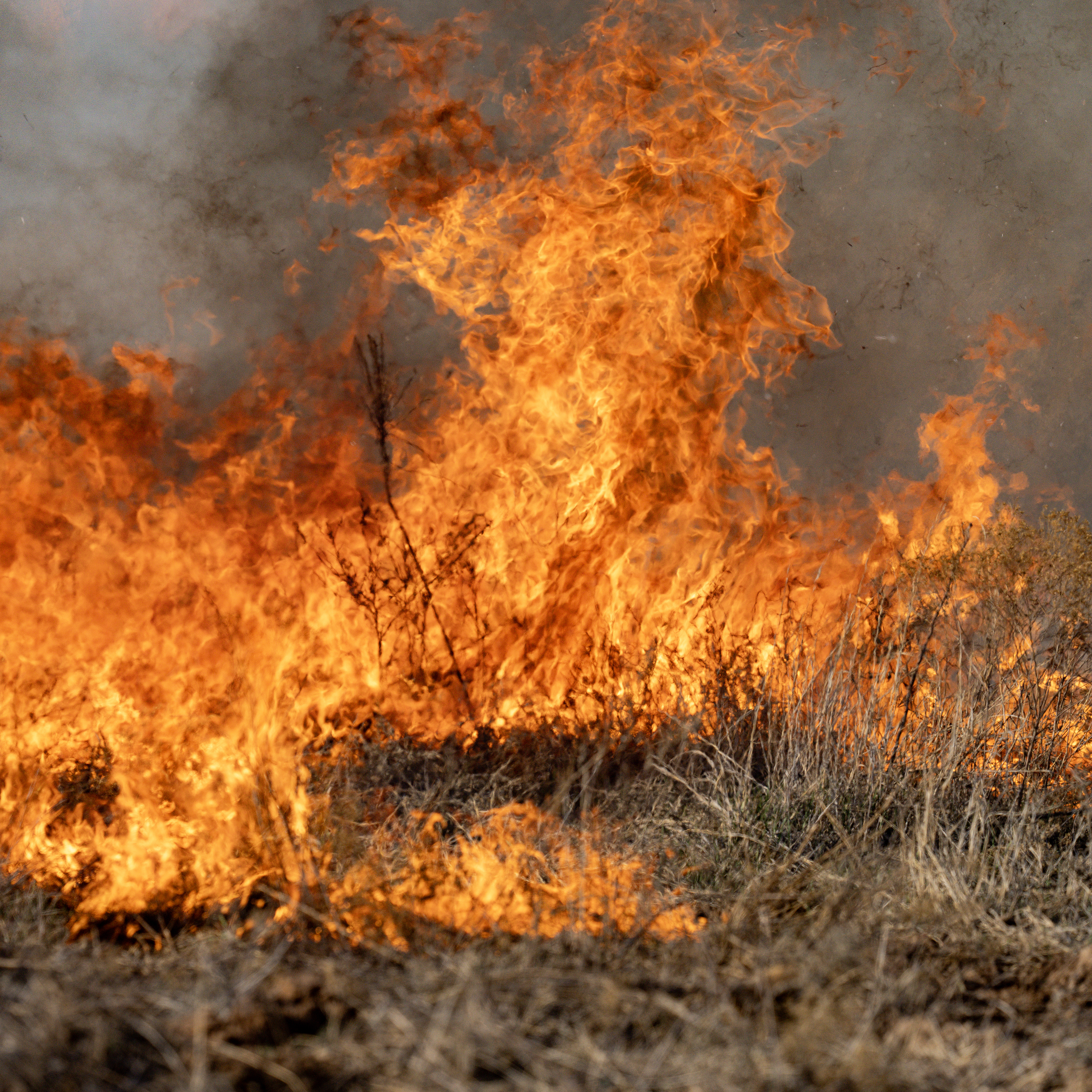 As wildfire potential continues across Texas, prepare and keep prevention top of mind.